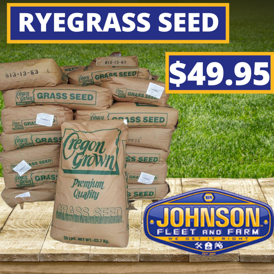 Ryegrass Seed